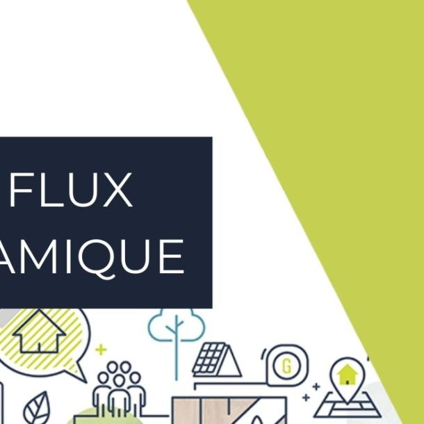 le double flux thermodynamique